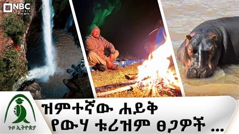  Guzo - Bức Tranh Tượng trưng Lấp Lánh và Khám Phá Xã Hội Ethiopia